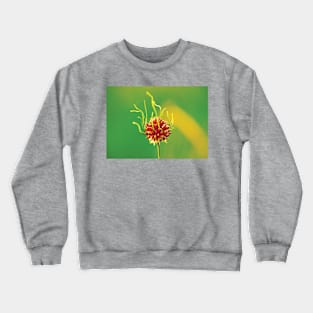 Wild Garlic - Allium vineale Crewneck Sweatshirt